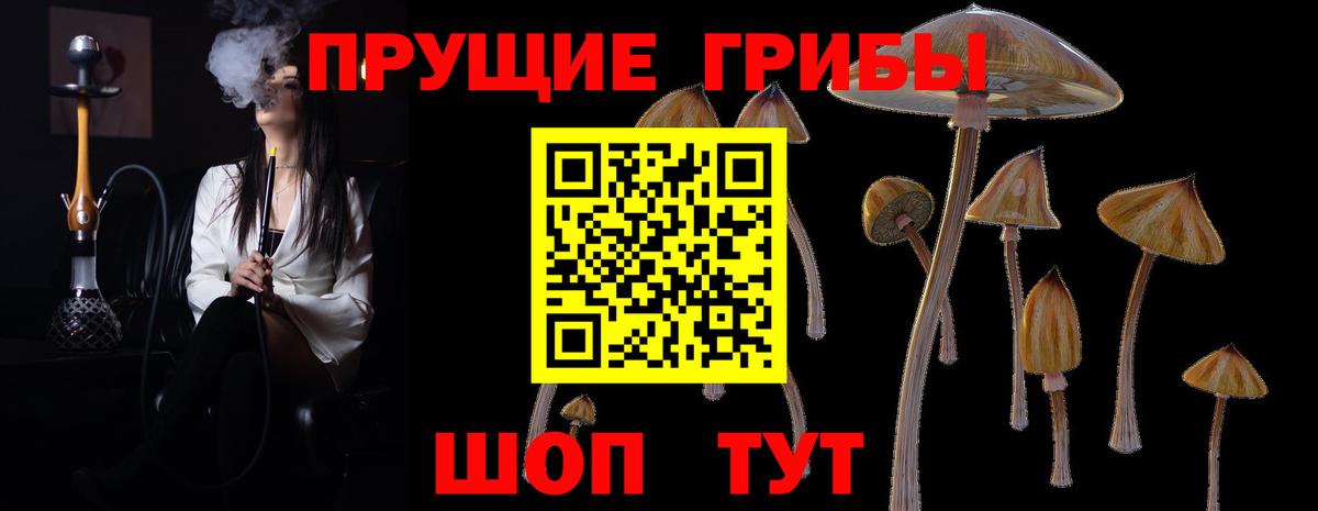 Сухой Лог  купить  цена  Вход с VPN  Псилоцибиновые грибы Psilocybine cubensis 